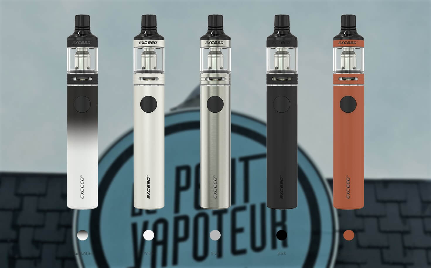 Kit Exceed D19 Blog Le Petit Vapoteur 2017